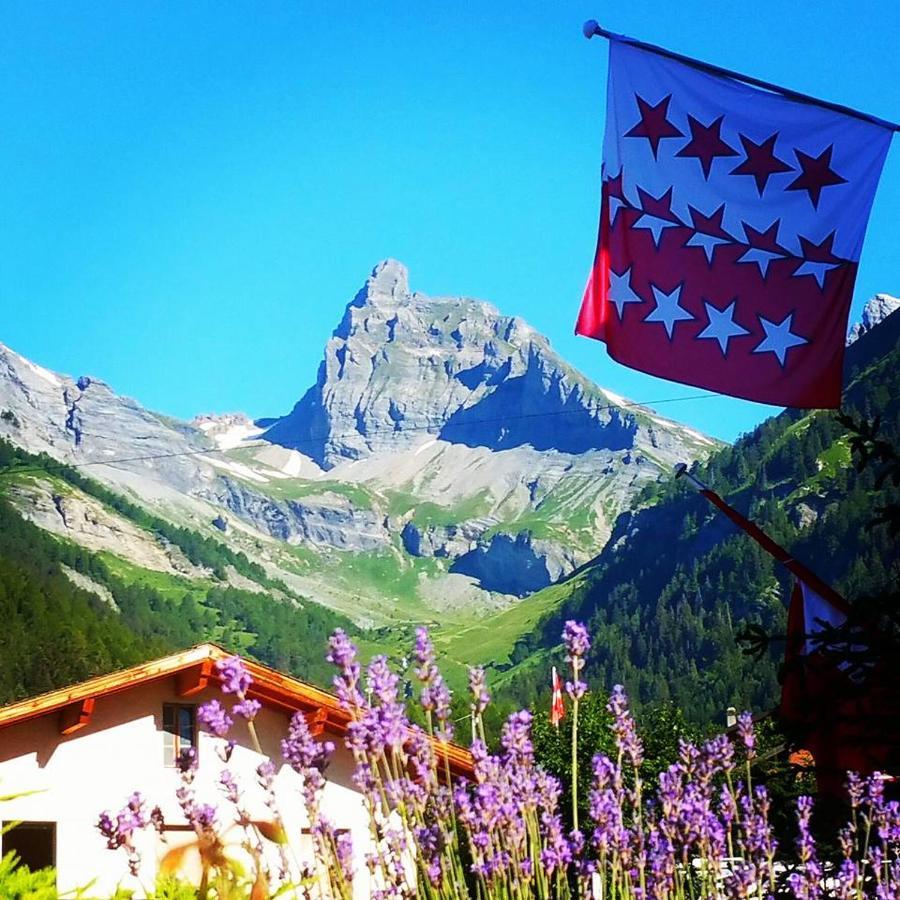 Le Vieux Valais Aparthotel Ovronnaz Exterior foto